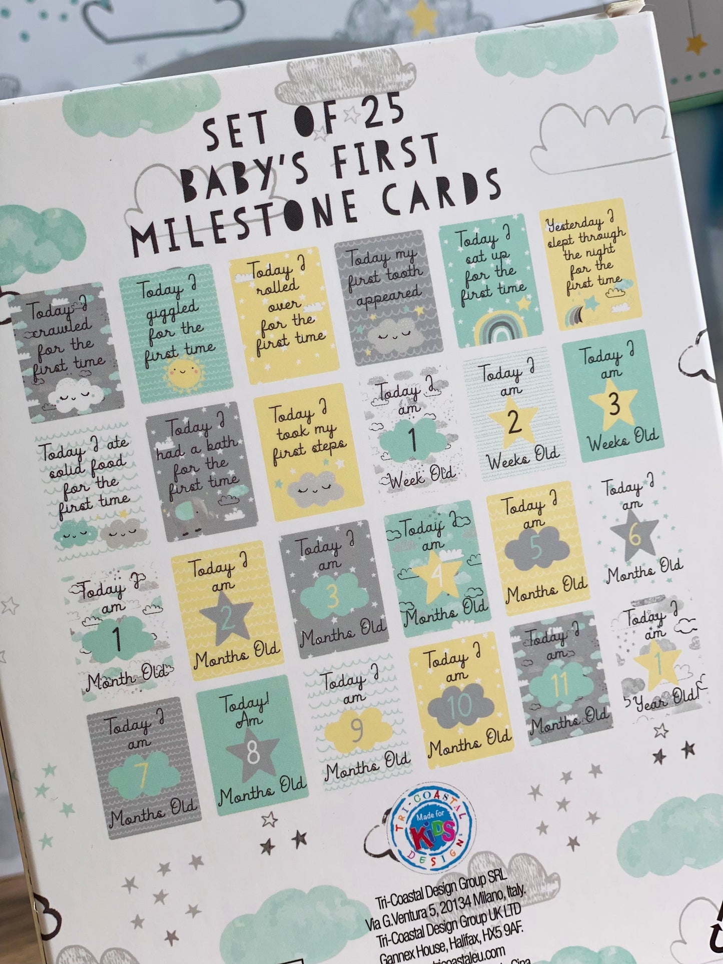 Baby's First Milestone Cards