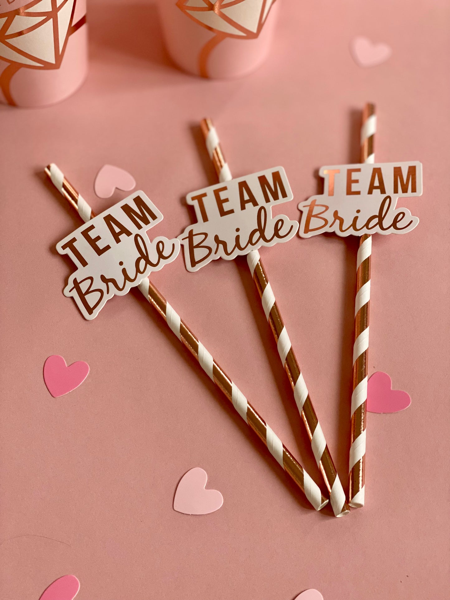 Team Bride Paper Straws 12 pc