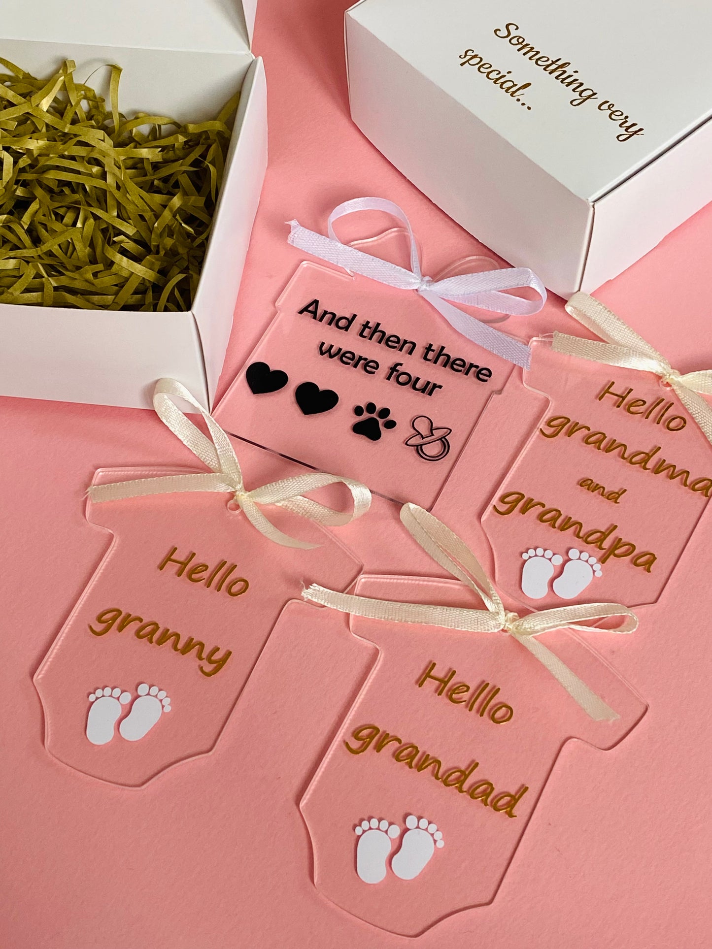 Pregnancy announcement mini set